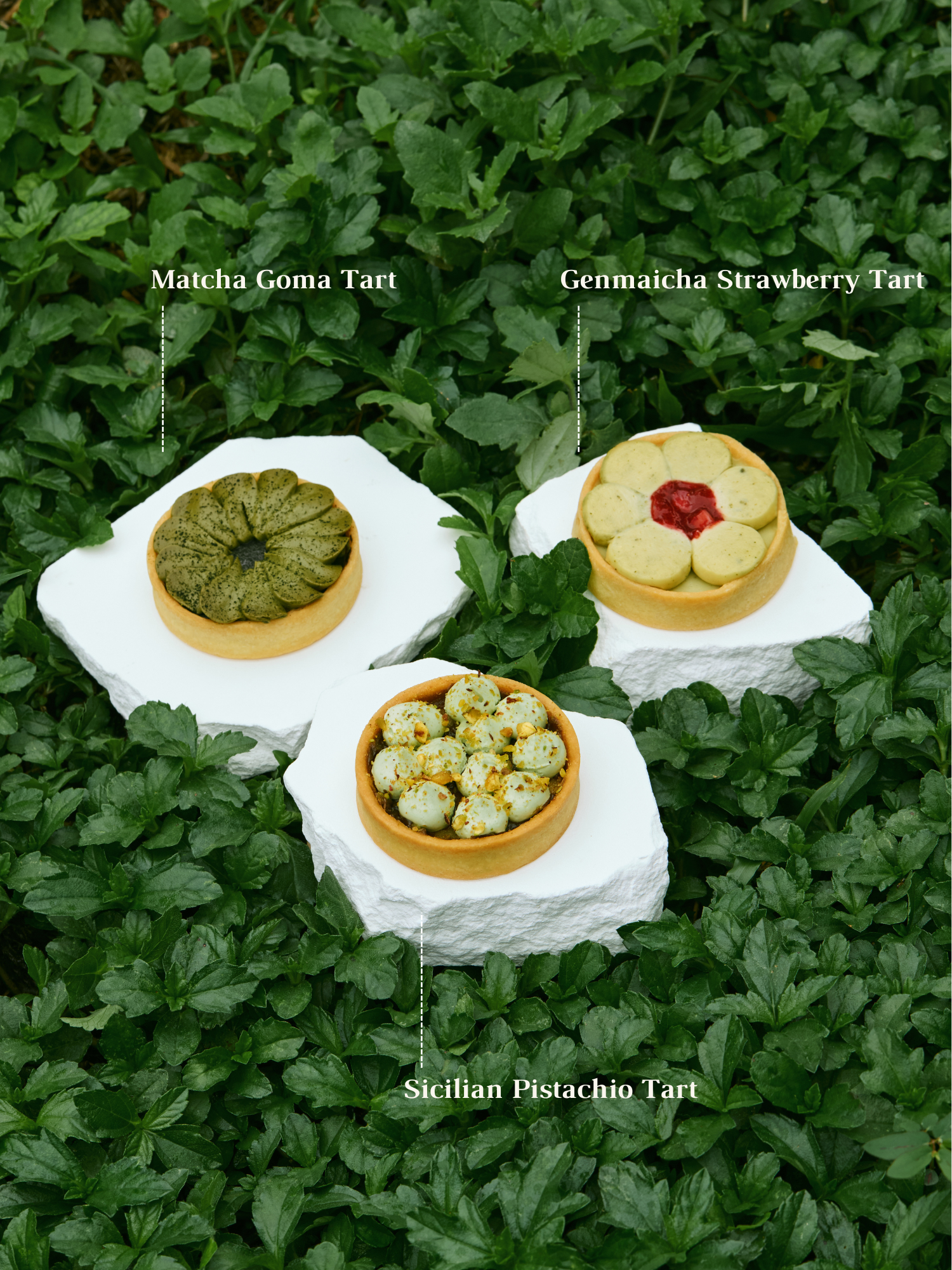 A box of assorted tarts with pistachio, strawberry, and matcha flavors, for tarts order online in Singapore