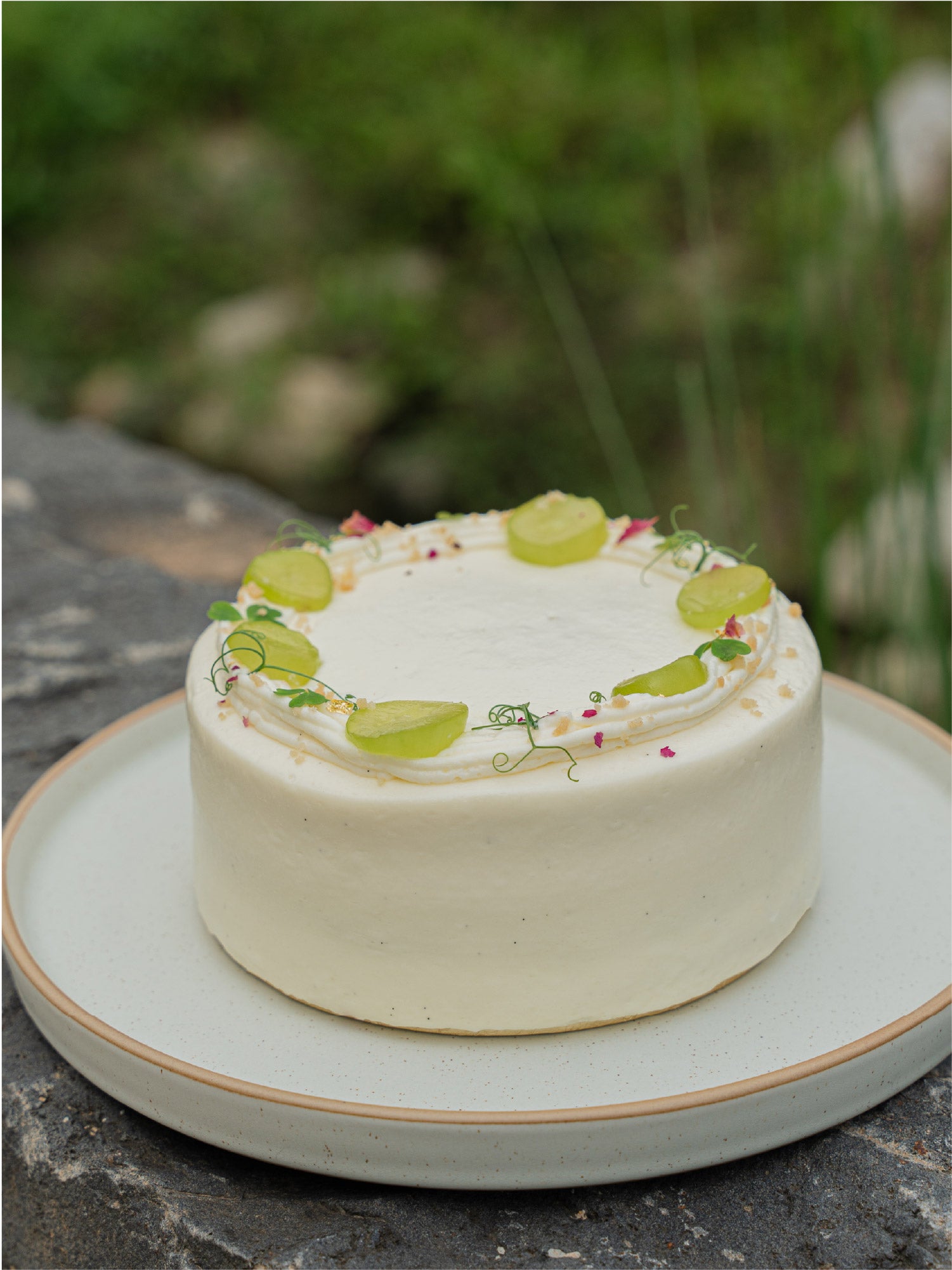 Jasmine sponge layered with fresh green grapes cake for online order in Singapore