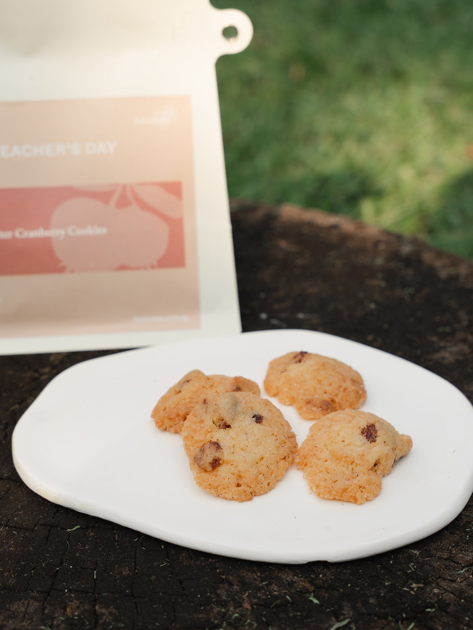 Teacher's Day special - Burnt butter cranberry cookies, available for online delivery in Singapore