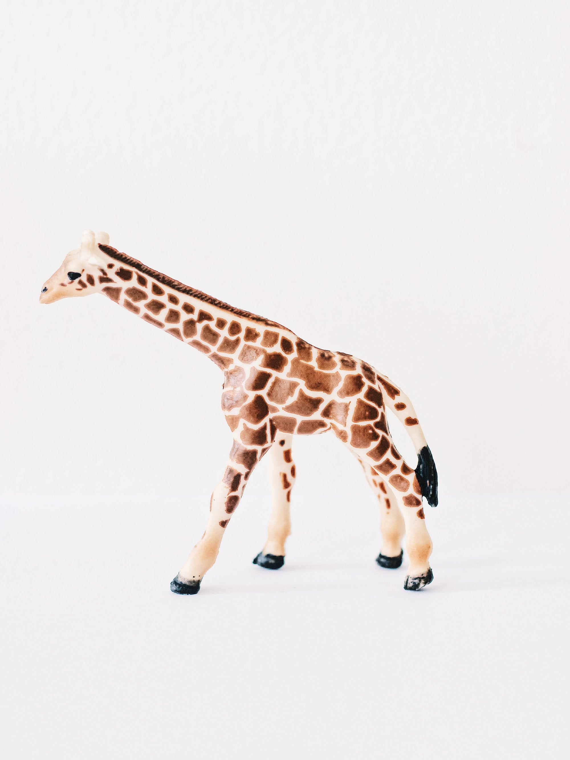 Minimalist Toy Giraffe - Fieldnotes Singapore