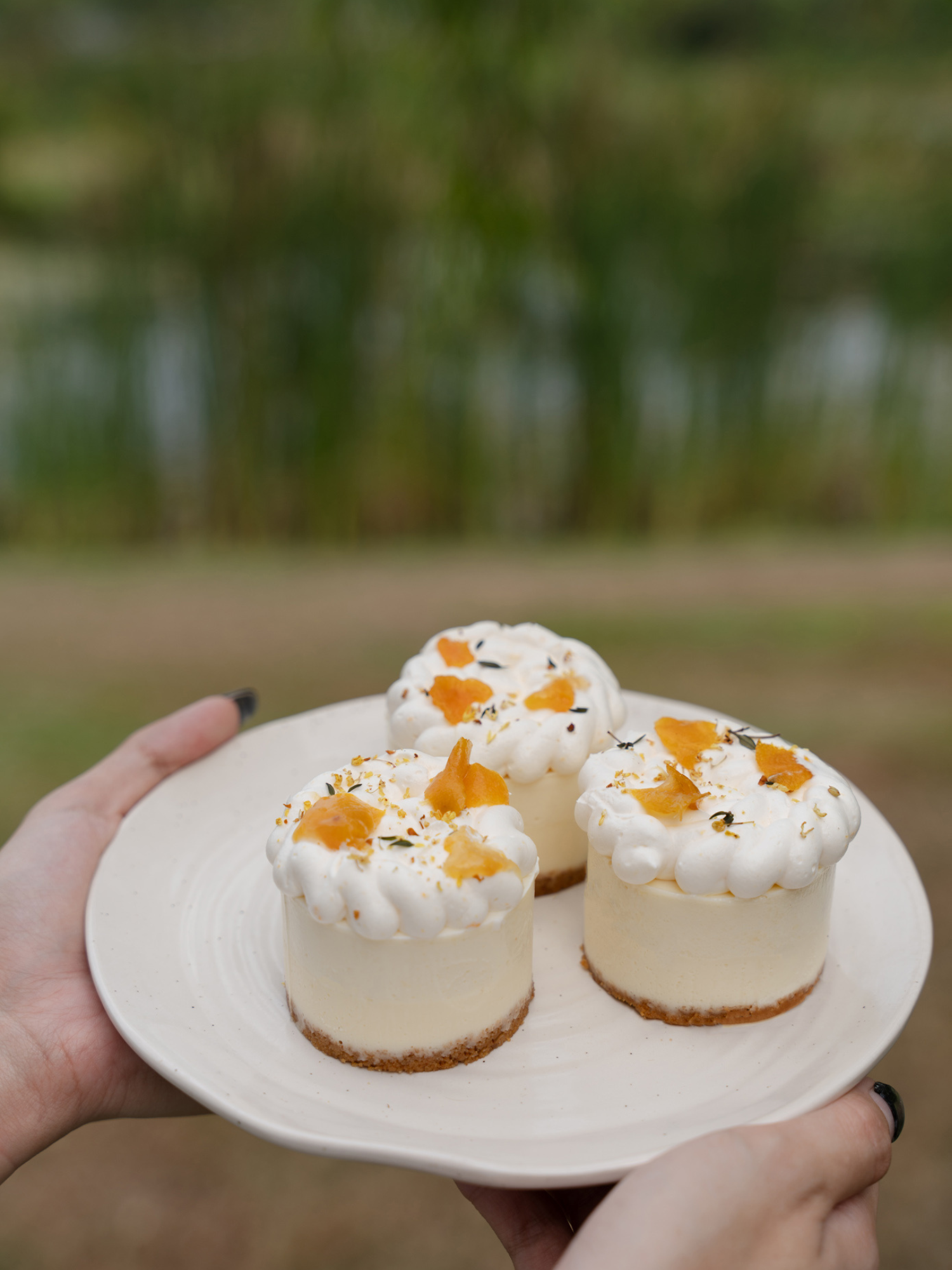 Mini Kinkan Cheesecake (Box of 3)