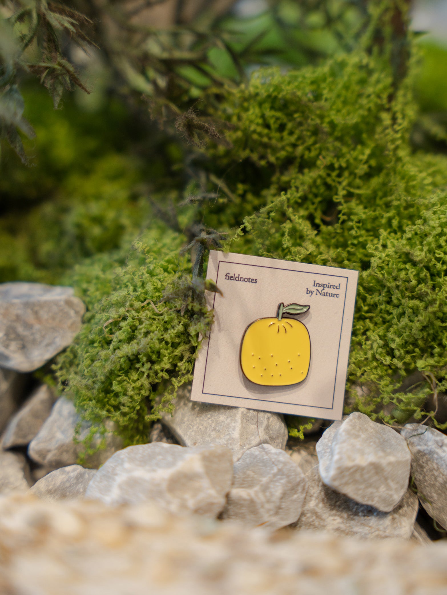 Yuzu Enamel Pin