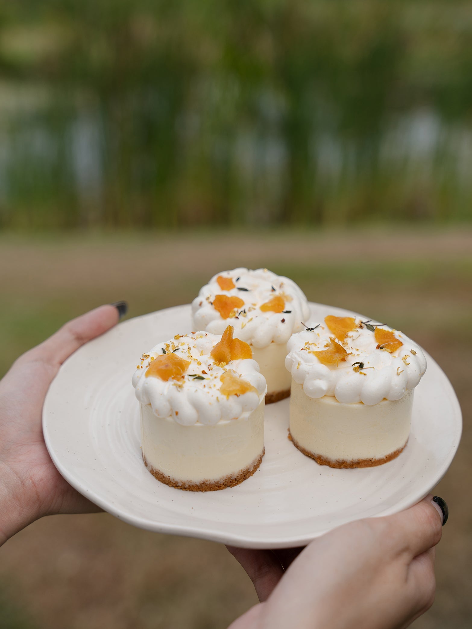 Mini Kinkan Cheesecake (Box of 3)