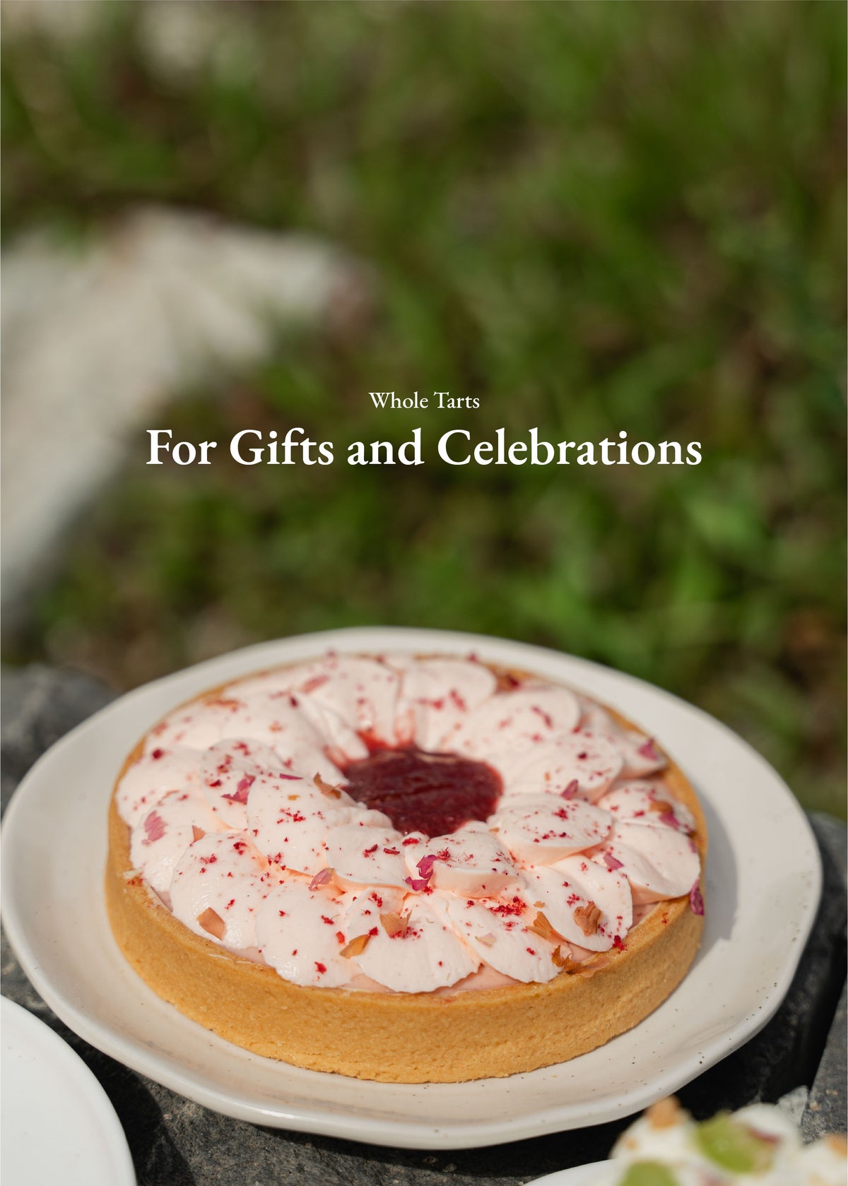 Fieldnotes l Nature-Inspired Cakes